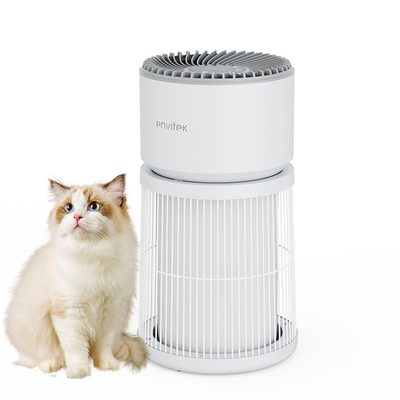 Buy OEM Activated Carbon Air Purifier Hepa Purifier To Filter Allergens online manufacture