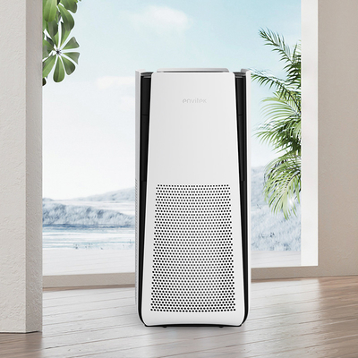 Buy Indoor Hepa Filter Air Purifier 1-12h Timer Wi-Fi For Large Living Areas online manufacture