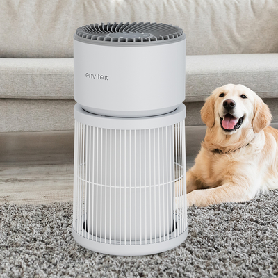 Buy Hot Sale Pet Use Air Purifier for Home Allergies Pets Hair in Bedro online manufacture